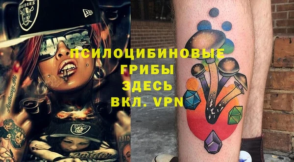 ПСИЛОЦИБИНОВЫЕ ГРИБЫ Армянск