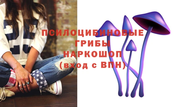 синтетический гашиш Арсеньев