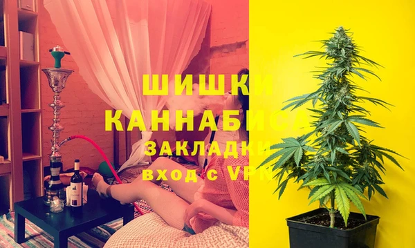 гашик Аркадак