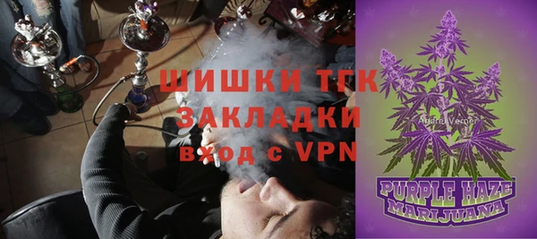 гашик Аркадак