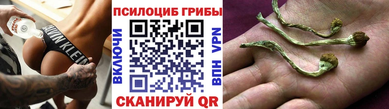 наркошоп  Среднеуральск  Галлюциногенные грибы прущие грибы 
